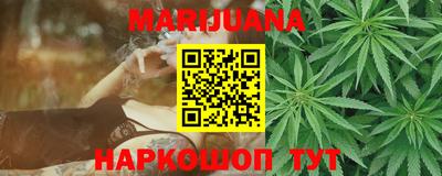 крисы Кулебаки