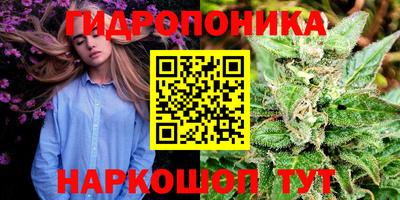 Альфа ПВП Краснознаменск