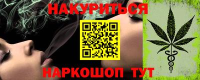 крисы Кулебаки