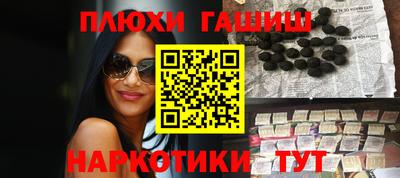 крисы Кулебаки
