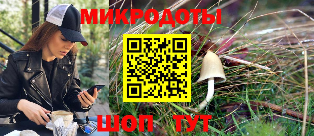 Кизилюрт  Галлюциногенные грибы MAGIC MUSHROOMS  Вход с VPN 